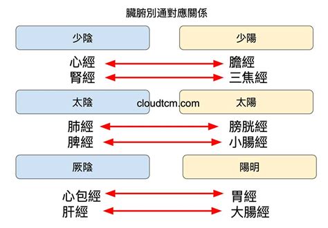 內經圖五臟六腑配對|從經絡臟腑別通的對應關係，找出6組神效的穴道配。